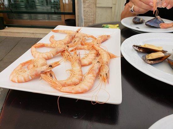 Cerveceria Puerto Plata